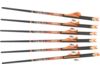 Image of Crossbow Bolts category