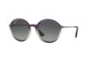 Image of Ray-Ban Round-Style Sunglasses Prescription Sunglasses category
