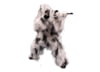 Image of Hunting Gear category