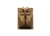 Image of Pistol Magazine Pouches category
