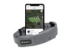 Image of Dog Collars category