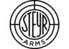 Image of Steyr category