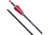 Image of Crossbow Bolts category