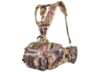 Image of Fanny Packs &amp; Waist Bags category