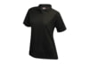 Image of Women's Shirts category