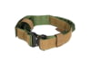 Image of Dog Collars category