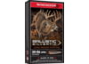 Image of Winchester Ballistic Silvertip .30-06 Springfield Ammo category