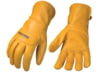 Image of Mens and Womens Apparel category