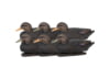 Image of Hunting Decoys category