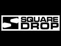 AAC Square Drop Handguard