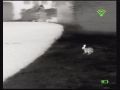 Bering Optics Prodigy 348 Thermal Monocular Video Sample: Rabbits (Using WiFi App)