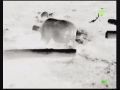 Bering Optics Prodigy 348 Thermal Monocular Video Sample: Wild Boar Black Hot Mode (Using WiFi App)