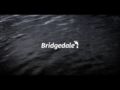 Bridgedale STORMSOCK