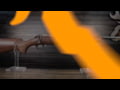 Browning AB3 Bolt Action Rifle Series