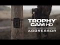 Bushnell Trophy Cam HD