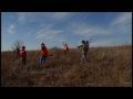 Bushnell Weather FX Forecast video