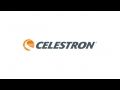 Celestron TetraView LCD Digital Touch Screen Microscope, Black/Silver 44347