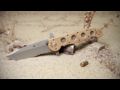 CRKT M1614ZSF Special Forces Knife Designed by Kit Carson Video