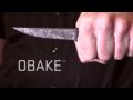 CRKT Obake Knife Overview by Lucas Burnley Video