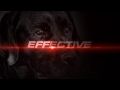Dogtra 200C Pr Enh Sound Mix 720P Video
