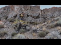 BackCountry Leadership Video