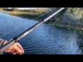 Fitzgerald Fishing All Purpose Composite Series