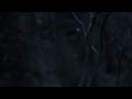 FLIR Systems Scout Pro Thermal Monocular Teaser