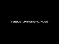 Fobus Universal IWBs In Action