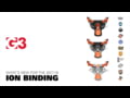 G3 - What's New For The 2017.18 ION Bindings