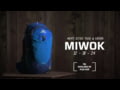 Gregory Miwok Backpack