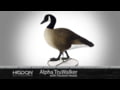 Higdon Outdoors - Alpha Full Body Goose Decoys
