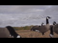Higdon Outdoors - XS TruFeeder Motion, Alpha Canada Goose