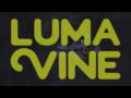 Kilimanjaro Gear Lumavine LED Mini Lantern for Camping, Hiking and Home
