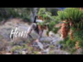 King's Camo Hunter 1/4 Zip