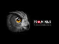 Kowa TSN 55 PROMINAR - Travel light, see bright.