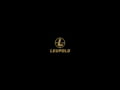 Leupold BX-4 Pro Guide HD Gen 2 Binocular