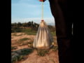 Moment Film Pouch