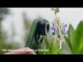 Moment T-Series Macro Lens - Getting Started