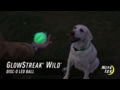 Nite Ize GlowStreak Wild Disc-O LED Ball