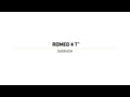 SIG SAUER - ROMEO4T Red Dot Sight