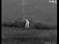 ATN BlazeSeeker Thermal Imaging Monocular Night View Video