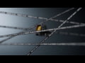 Vector Optics - Frenzy Plus 1X22X32 QD &amp; Solar Power (SCRD-65 &amp; SCRD-SM44)