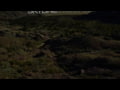 Warne Skyline Pro Bipod