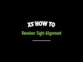 XS Sight Systems DXW Big Dot for SW 586686625629329 Revolvers SW0004S3 Instructional Video