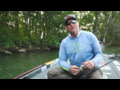 Z-Man - Top 3 ChatterBait Mini Max Trailers