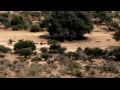 ZEISS Victory HT Rifle Scope - African Hunt Scene