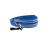 Image of 4id LED Lite Up Leash, Blue
