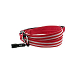 Image of 4id LED Lite Up Leash, Red