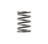 Image of Dead Air Silencers Piston Spring for Ghost, Odessa, and Mojave 9