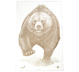 Image of Action Target Alaska State Parks Bear Target, 23x35, 100 Per Box